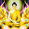 user302071087