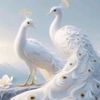 myaseen10206