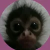 jahalamaro