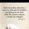 djanquem3