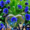 ismaaciil.shariif4