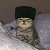 ataev_108