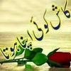 yasirmehmood7533