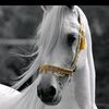 user3606105235753