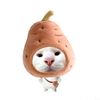 dillaa_cantipp
