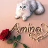 amina.beta