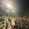 tnn.cutii