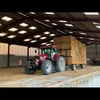 clemox023