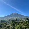 endangsamsi