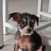 gerardofrosario