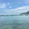 taolahuyphongbinhchanh