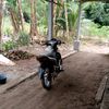 ayub.aulia910