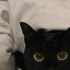 kittyloveee25