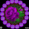 user48867481226330