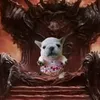 cunci_cula12