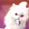 bonggon_2503