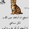 user3035181069561