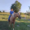 adriana.ferreira5444