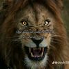 mohamed.diawara382