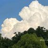 sky.angel751