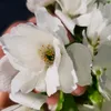 lejla.elmazi35