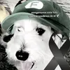 bruneyjer777