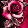m.latif.rammay