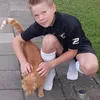 casper.heemink