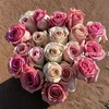 zainab2619