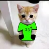 jxnas.santos