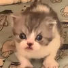 wejdjnrx