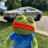 pepe.supply