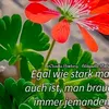 zabel.hannel