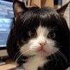 mkyinr.id