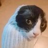 michael_13680