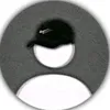 salmansh305