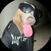 gustavo.souza6143