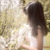 areen3351