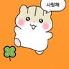 user1613006501557
