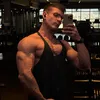raphaobuilds