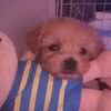 0305mochalove