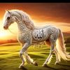 imamali34567
