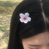 chocohops_