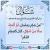 zoumghainy.ag.islam