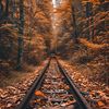 Track