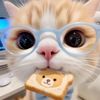 🧸🌷•~My account~•🌷🧸