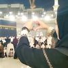 zahra.m304