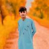 shafqathussain1101