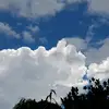 c.c.o_0