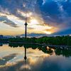 muhammadrifat876